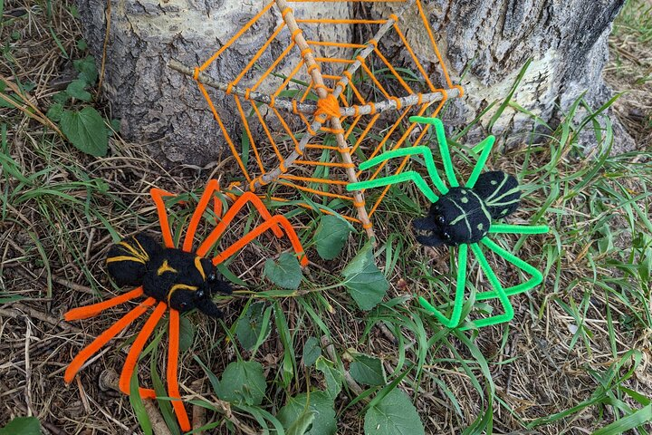 Felted Halloween Spider Art Class in Estes Park - Photo 1 of 7